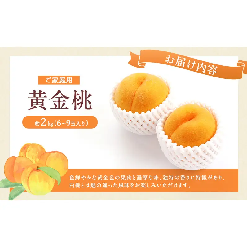 桃 2027年 先行予約 岡山 黄金桃 ご家庭用 約2kg 6～9玉入り もも モモ 岡山県産 国産 フルーツ 果物 直送！せとうちバスケット スイーツ こだわり 特産品 白い 香り 果汁 シーズン 濃厚