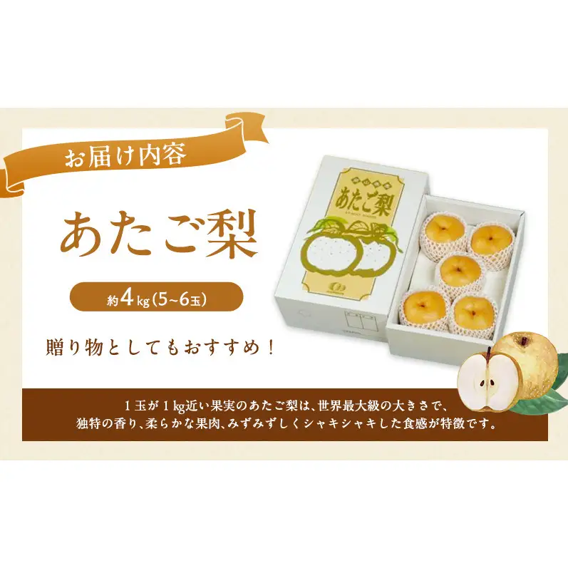 梨 2027年 先行予約 あたご梨 5～6玉 約4kg ナシ なし 岡山県産 国産 フルーツ 果物 直送！せとうちバスケット