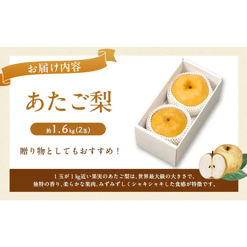 梨 2027年 先行予約 あたご梨 2玉 約1.6kg ナシ なし 岡山県産 国産 フルーツ 果物 直送！せとうちバスケット