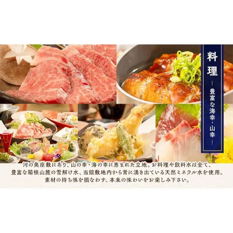 水と緑のやすらぎの宿 一の瀬 施設利用券 3000円分 宿泊補助券 温泉 宿泊 旅館 宿 観光 国内旅行 チケット 宿泊券 静岡県 裾野市