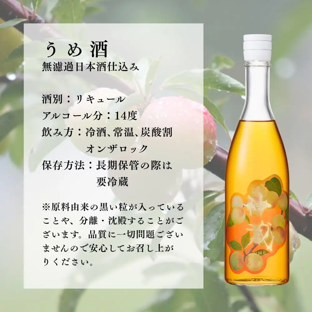 梅酒 神蔵 蜜號 日本酒仕込み 710ml 京都 リキュール