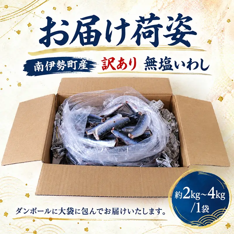 いわし 訳あり 約3kg 無塩 イワシ 南伊勢町