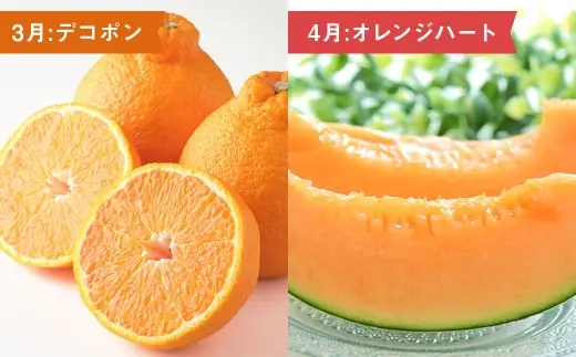 【 6ヶ月連続定期便 】 熊本の旬のフルーツお届け便 （ 1月上旬?6月下旬 ・ 年6回コース ） 果物 フルーツ 晩白柚 イチゴ デコポン オレンジハート メロン スイカ 肥後グリーン 果実 果汁 果肉 詰め合わせ 食べ比べ 熊本県産 国産 定期配送 定期 【 2027年1月より発送開始 】