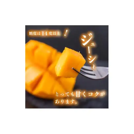 【早期予約】 マンゴー 秀品 12パック × 1箱 ( 3.6kg ) 