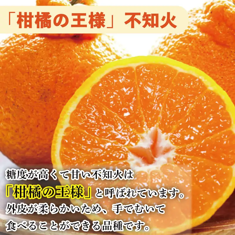【不知火】 約 4kg から 5kg（2L玉14個 ) 不知火 みかん しらぬい