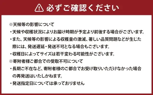 スイカ 肥後漫遊 （ 1玉 ） 2Lサイズ 果物 フルーツ 果実 果汁 果肉 甘み 贈り物 プレゼント 贈答用 熊本県産 国産 【 2027年5月上旬から7月下旬発送予定 】