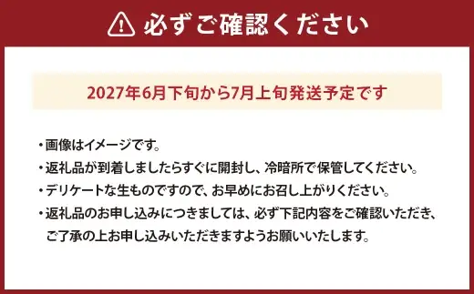 マンゴー 2玉 果物 フルーツ 果実 果汁 果肉 贅沢 ジューシー 南国 プリン ケーキ スムージー 贈り物 プレゼント 贈答用 熊本県産 国産 冷蔵 【 2027年6月下旬から7月上旬発送予定 】