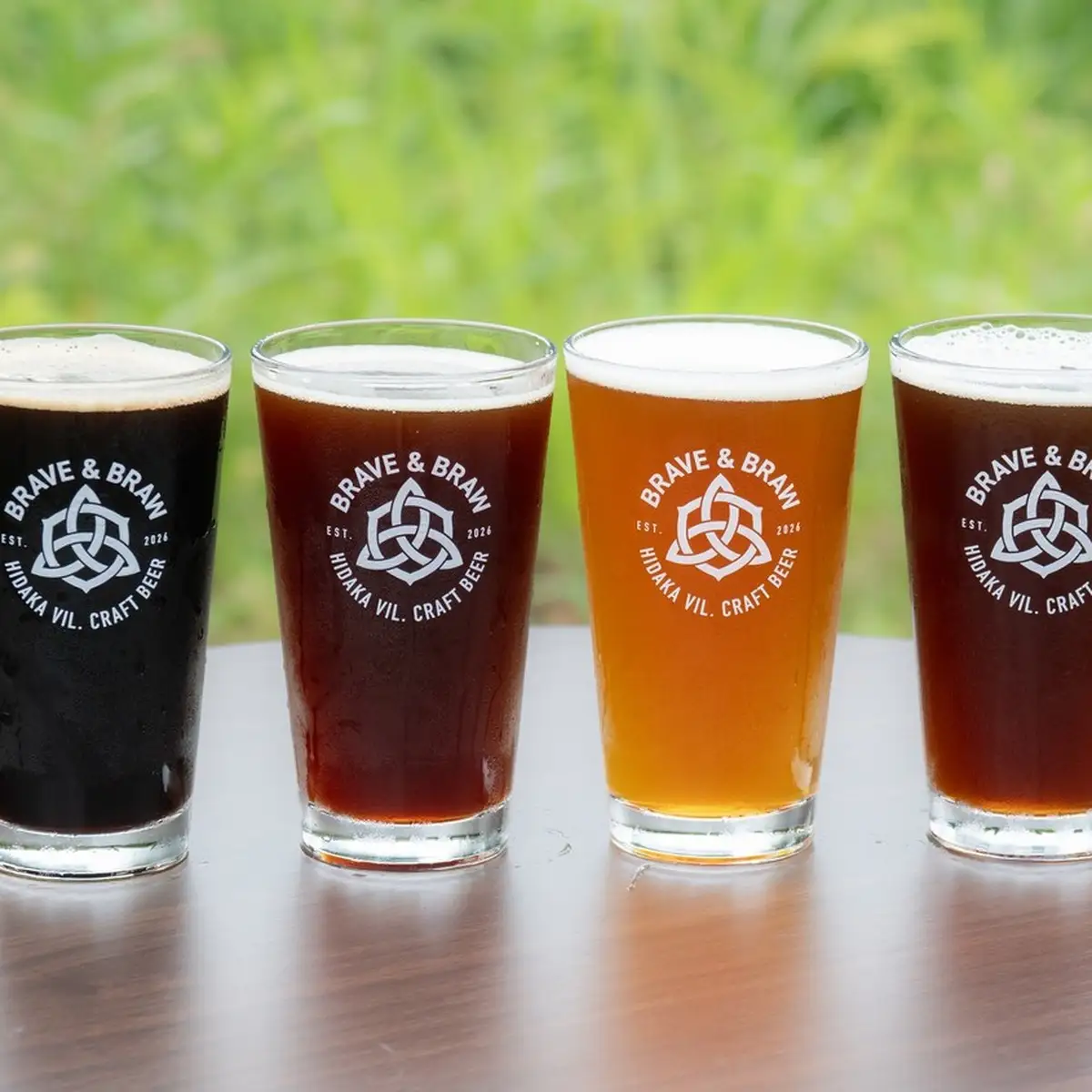 【定期便・全3回】クラフトビール 飲み比べ 4種 350ml×4本｜缶ビール 地ビール IPA 黒ビール お酒 スコティッシュ 高知県 日高村