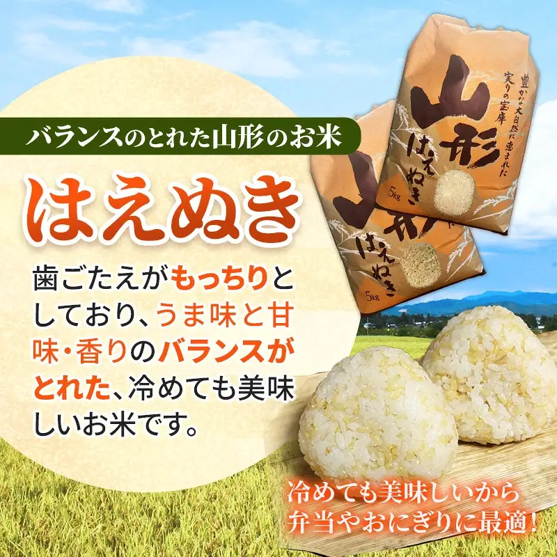 人気のブランド米 はえぬき 白米 10kg（飯豊町産）【R8年産】 - 山形県 米 精米 ブランド米 ご飯 田園サービスいいで
