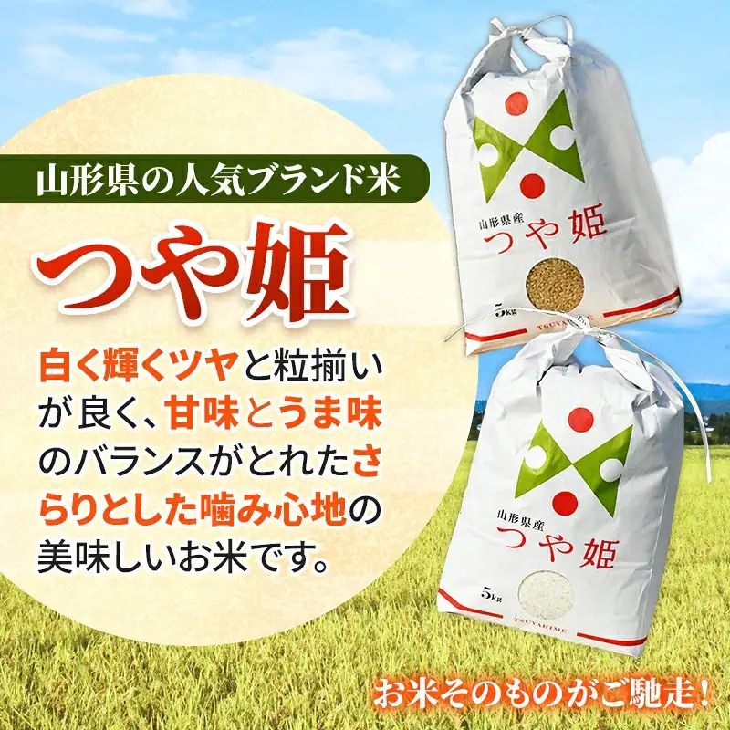 人気のブランド米 つや姫 白米 10kg（飯豊町産）【R8年産】  - 山形県 米 精米 ブランド米 ご飯 田園サービスいいで