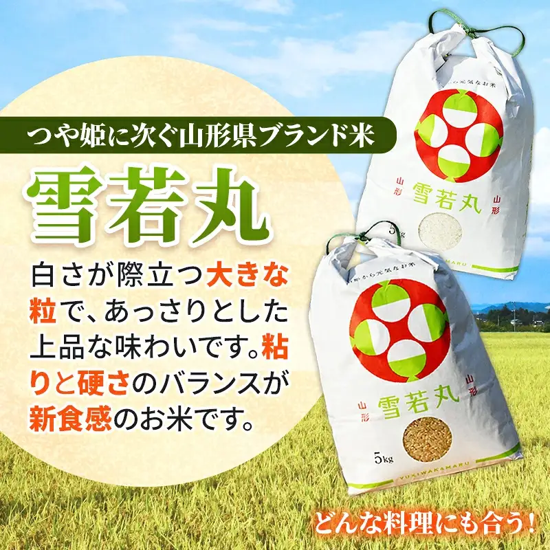 人気のブランド米 雪若丸 白米 10kg（飯豊町産）【R8年産】  - 山形県 米 精米 ブランド米 ご飯 田園サービスいいで