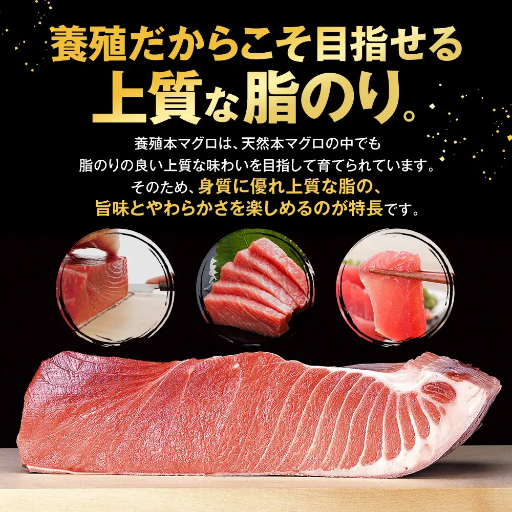 まぐろ 食べ比べセット 1kg まぐろ