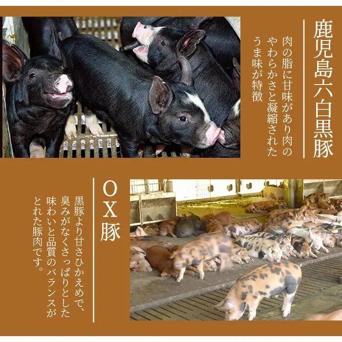 鹿児島県産 やごろう 黒豚 ブロック 詰合せ セット(合計2.8kg・ヒレ1本つき) 豚肉 黒豚 冷凍【大成畜産】B139-v01