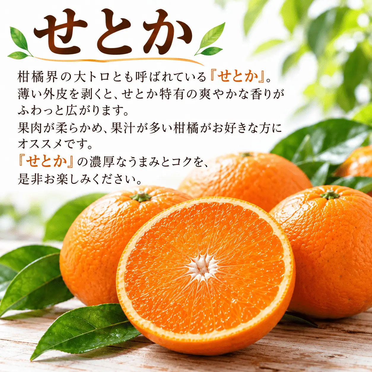 【先行予約】旬の柑橘定期便3回 訳ありえひめみかん（温州みかん）5kg 訳ありせとか 3kg 贈答用河内晩柑 5kg   吉田農園  サイズミックス  人気 ブランド プレミアム 柑橘 果物 フルーツ 期間限定 産地直送 国産 農家直送 わけあり 特産品 お取り寄せ mikan 蜜柑 ミカン オレンジ  ビタミン 甘い おいしい  不揃い 吉田農園 愛南町 愛媛県
