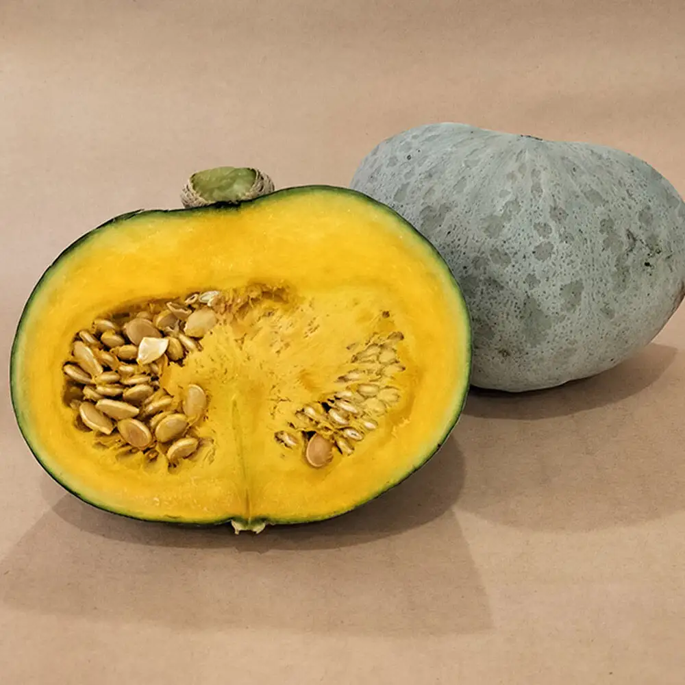 【秋の味覚】青森県産かぼちゃ 2種（蔵の匠・雪化粧）2kg（各1kg）カット済み