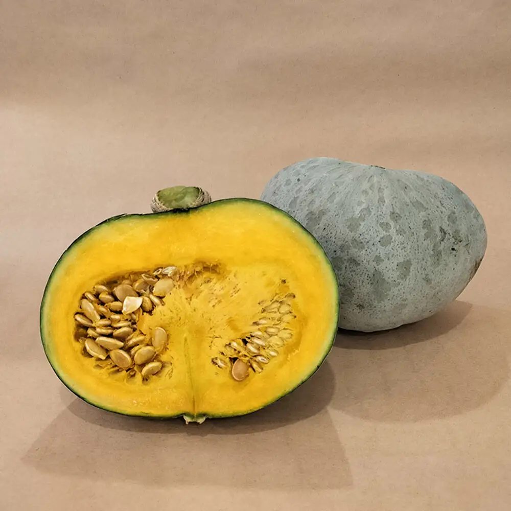 ほくほく甘いかぼちゃセット 2種（蔵の匠・雪化粧）合計約7kg 青森県十和田市産