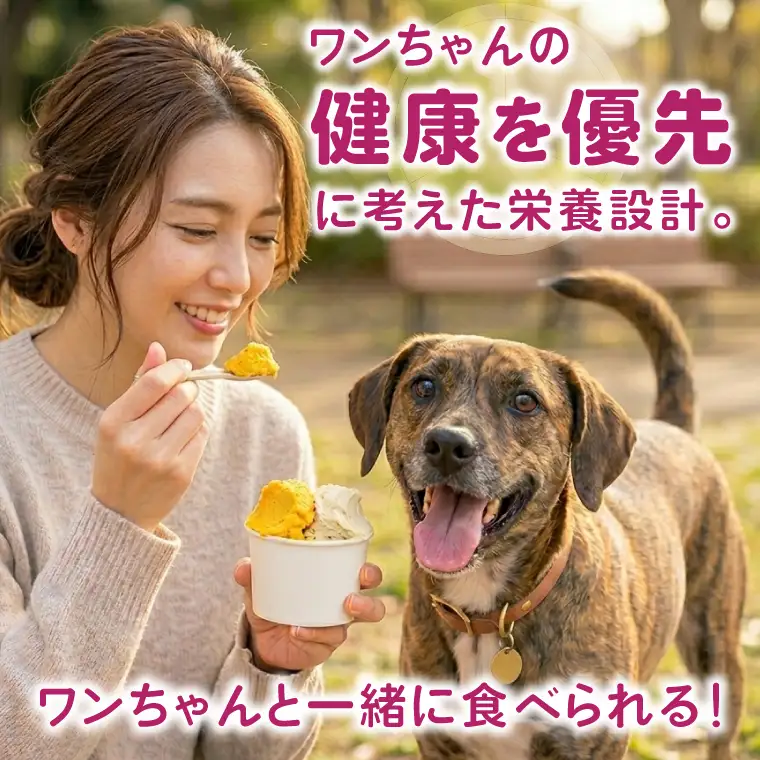 プラントベースアイスクリームセット　for humans and dogs さつまいも味・かぼちゃ味｜茨城県 行方市 ふるさと納税 アイス お菓子 植物性ミルク 豆乳 スイーツ デザート（HZ-2）