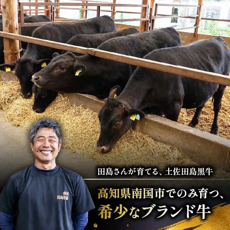 【土佐田島黒牛】焼肉用 300g モモ ウデ 牛肉 | ブランド牛 焼肉 和牛