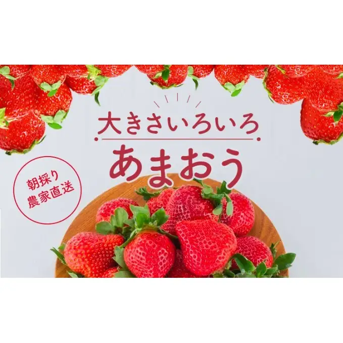 福岡ストロベリーパーク あまおう サイズ色々 8パック 約2kg（約250g×8p）