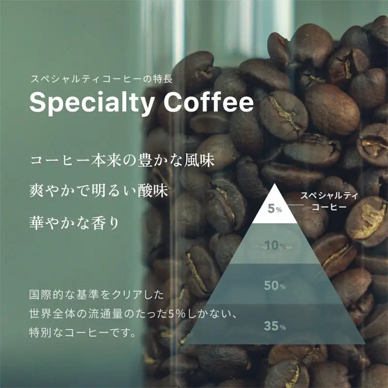 stong coffee lab スペシャルティコーヒーセット ドリップバッグ Stong Blend / ストングブレンド×24袋【stong coffee lab】
