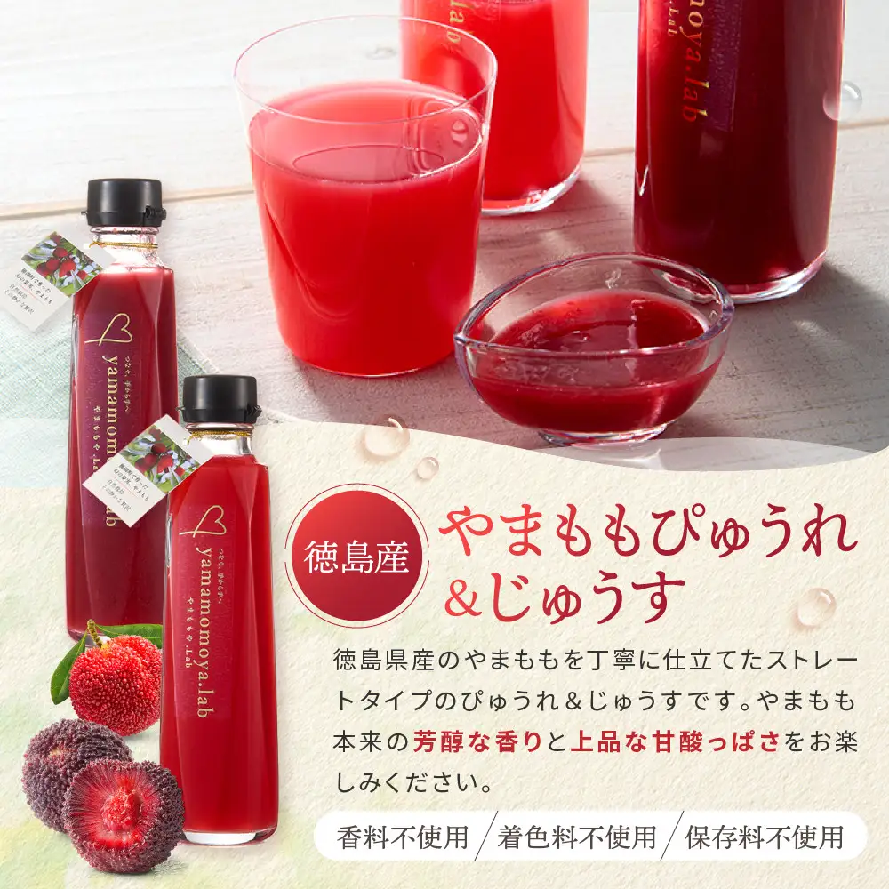  徳島フルーツジュレ 3種（やまもも すだち ゆこう）（160g×各2個　計6個） やまももピューレ (220ｇ) やまももジュース (220g)のセット