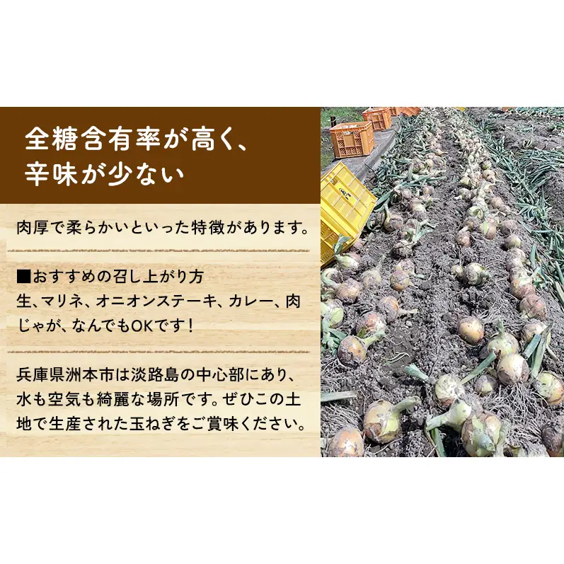 玉ねぎ 淡路島産 ターザン 貯蔵用 3kg 玉ねぎ