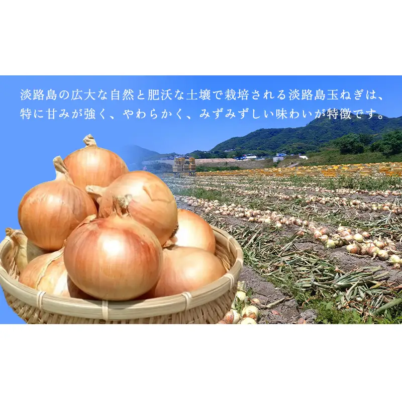 『山木さんちのプレミアム玉ねぎ』5キロ 兵庫県 洲本市 淡路島