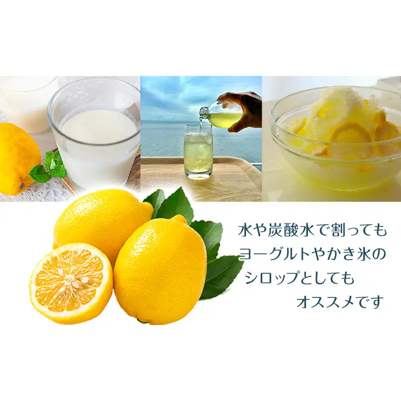 小豆島レモンシロップ（280ｍl）　レモン シロップ 檸檬 果物 柑橘 かんきつ 小豆島 自然栽培 香川県 土庄町