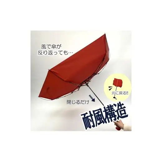 N165 紀州漆器折りたたみ傘　根来　耐風骨（ギフト箱入り）