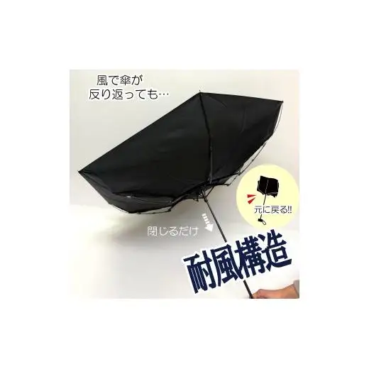 N164 紀州漆器折りたたみ傘　曙　耐風骨（ギフト箱入り）