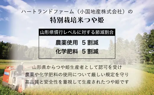 【令和８年産 新米】山形県小国町産 つや姫5kg　小国地産