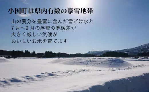 【令和８年産 新米】山形県小国町産 雪若丸10kg　小国地産