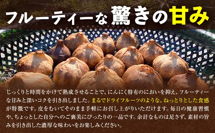 黒にんにく 100g うめのう《30日以内に出荷予定(土日祝除く)》