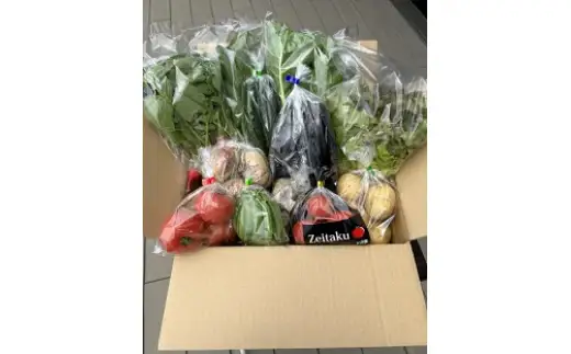道の駅レスティ唐古・鍵 旬の新鮮野菜8種類以上詰合せ ！！ (野菜8種類以上) 道の駅 奈良県産 季節 詰め合わせ 生鮮食品 旬 新鮮 野菜 奈良県 【tm-BB004】【道の駅レスティ唐古・鍵】