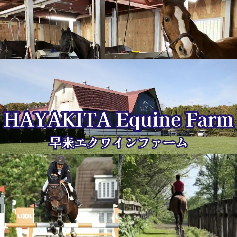 【ふるさと納税】 乗馬体験（ひき馬）1回分 北海道安平町〈早来エクワインファーム〉馬 サラブレッド ポニー 競馬 馬術 体験