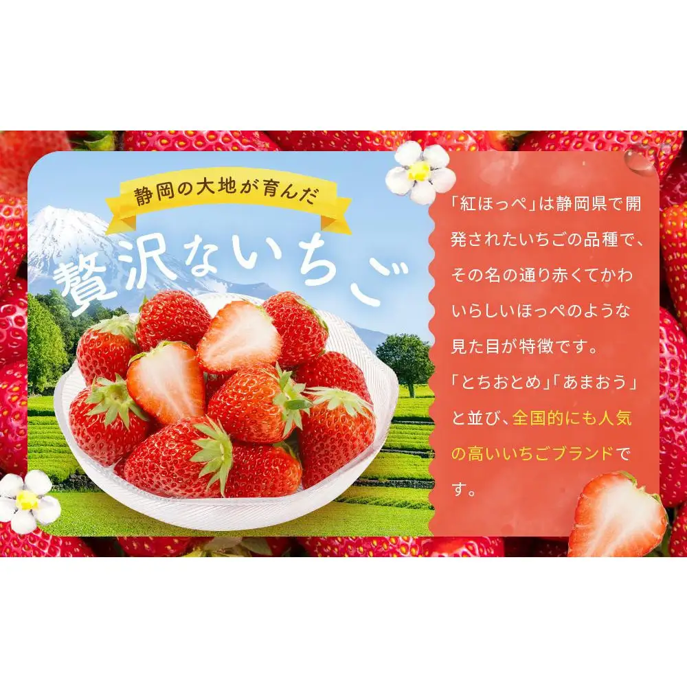 【2027年発送！3か月定期便】大きめいちご「紅ほっぺ」280g×2パック