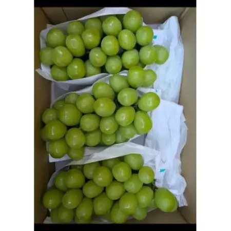 【2027年8月下旬以降発送 先行受付】山梨県産 シャインマスカット2kg(2～4房程度)【配送不可地域：離島・沖縄県】【1783399】