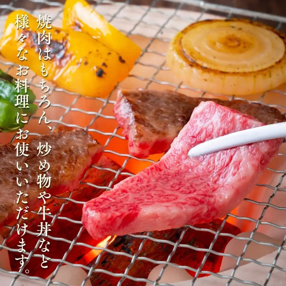 A4ランク博多和牛焼き肉用切り落とし1kg(500g×2P)[H0209]