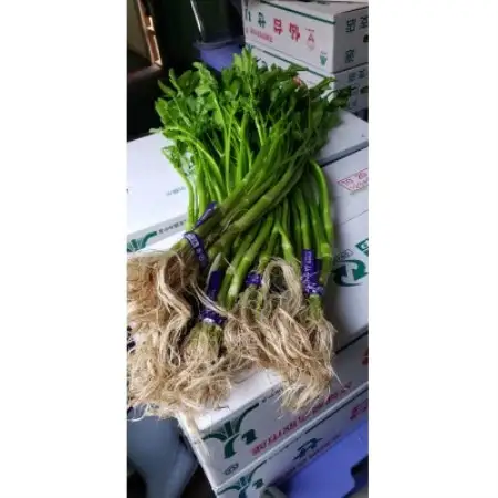 仙臺セリ鍋セット【配送不可地域：離島】【1779670】