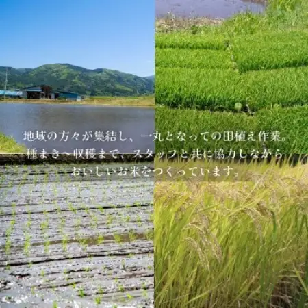 【山あいのおこめ】R8年産 あきたこまち 精米 10kg  宮守川上流生産組合【1786228】