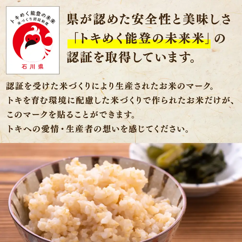 万行希望の丘農園 こしひかり 玄米 5kg｜米 玄米 能登 里山 里海 石川県 七尾市 能登半島