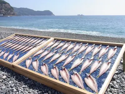 干物 海の恵み 詰め合わせB 干物 ひもの【hatt0002】