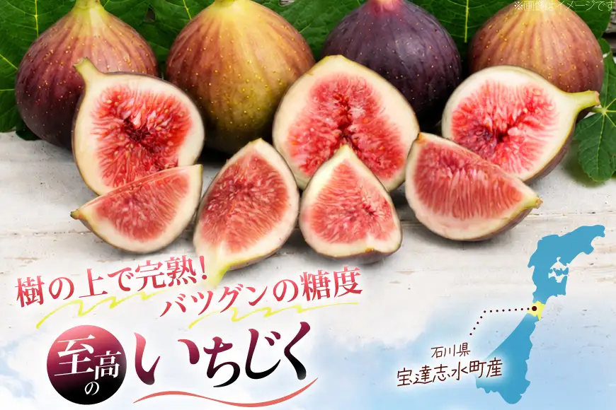 いちじく ドーフィン 300g×4パック | 石川県宝達志水町 | ふるさと納税