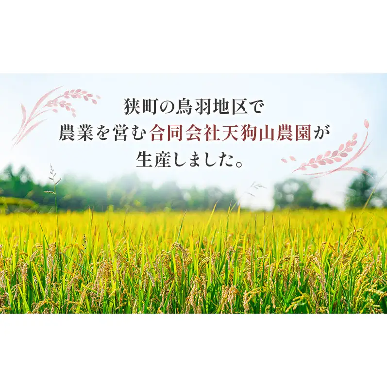 米 こしひかり2キロ(令和8年産) 若狭・天狗山農園 お米 こめ コメ 精米 ご飯 ごはん コシヒカリ 福井県 若狭町