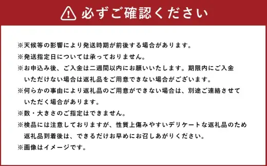 【 訳あり 】 とろける甘さ！ 会津身知らず柿 L～3L 12個～20個 たっぷりご家庭用 柿 果物 フルーツ デザート 大玉 渋抜き 甘み 滑らか 果汁 とろとろ 【 2026年11月下旬から12月上旬発送予定 】