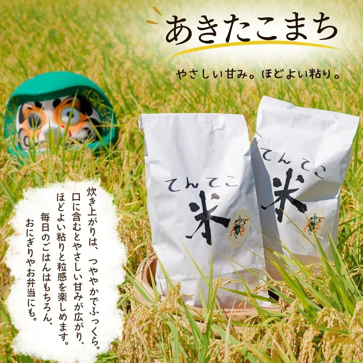 新米】あきたこまち 玄米 10kg てんてこ米 今清水農園 | 長野県飯山市