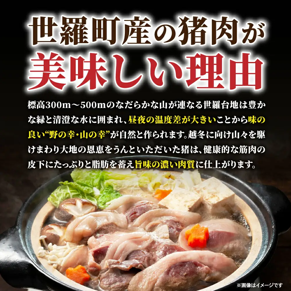 【定期便6カ月】天然猪肉切り落とし 約1.5kg 《合計6回発送》猪 ジビエ 小分け 山の幸 A034-14