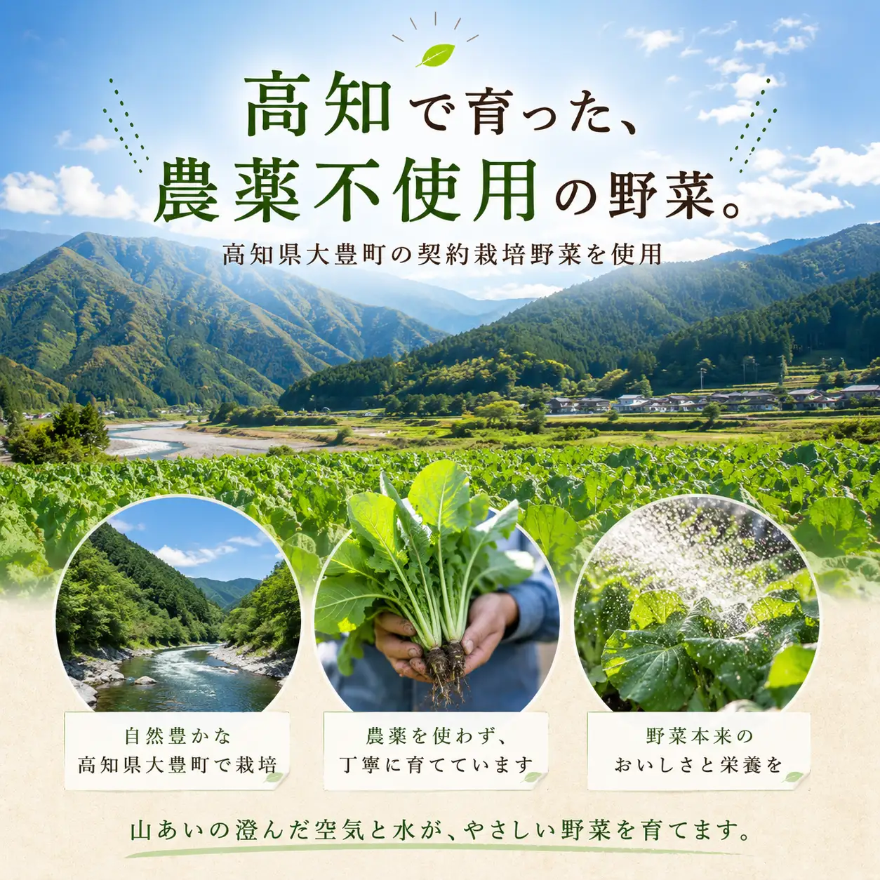 青汁 菜食健美 (90ml×7本) | 健康 国産 ひまわり乳業 青
