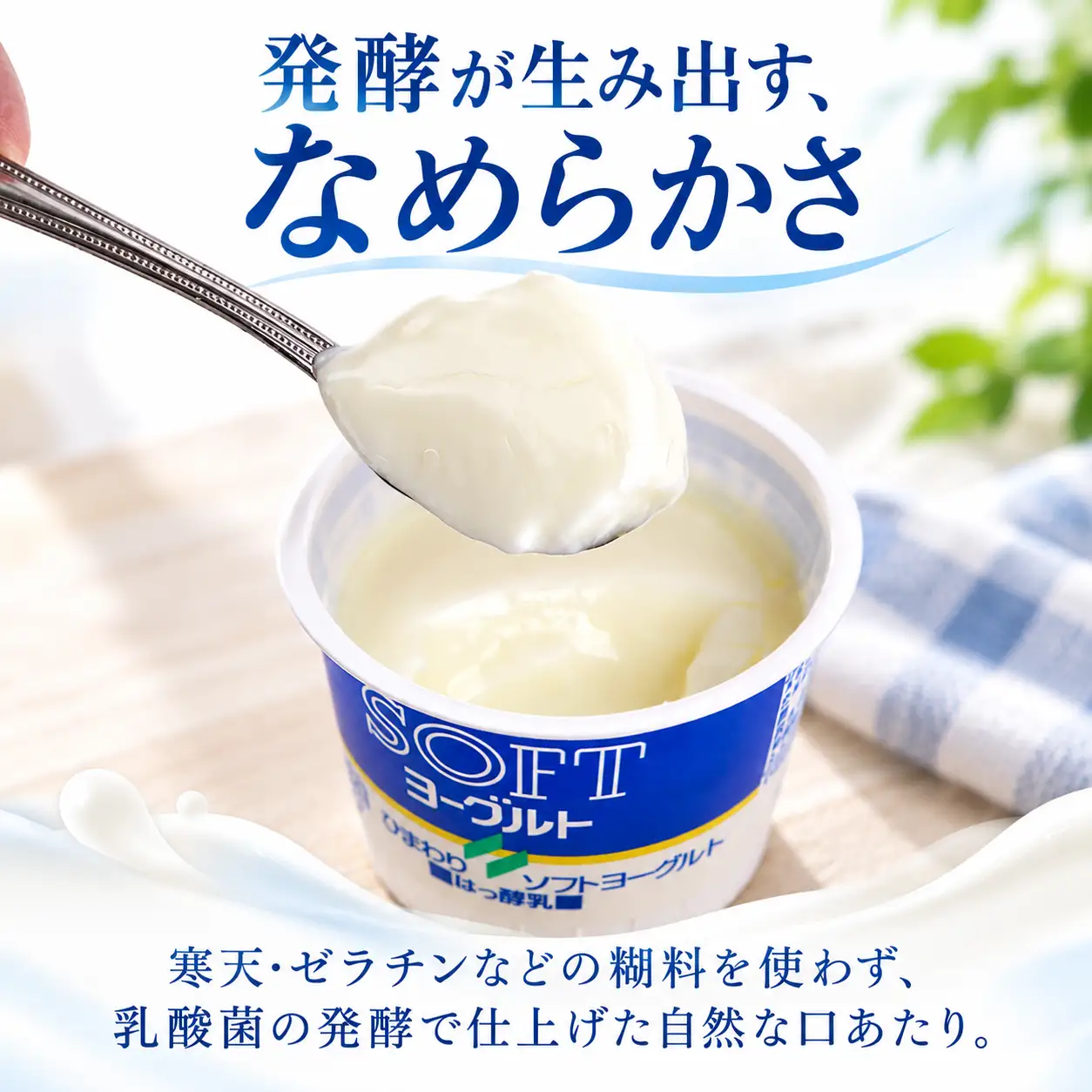 ソフトヨーグルト (80g×10個) | 乳製品 ご当地 ひまわり乳業 ヨーグルト