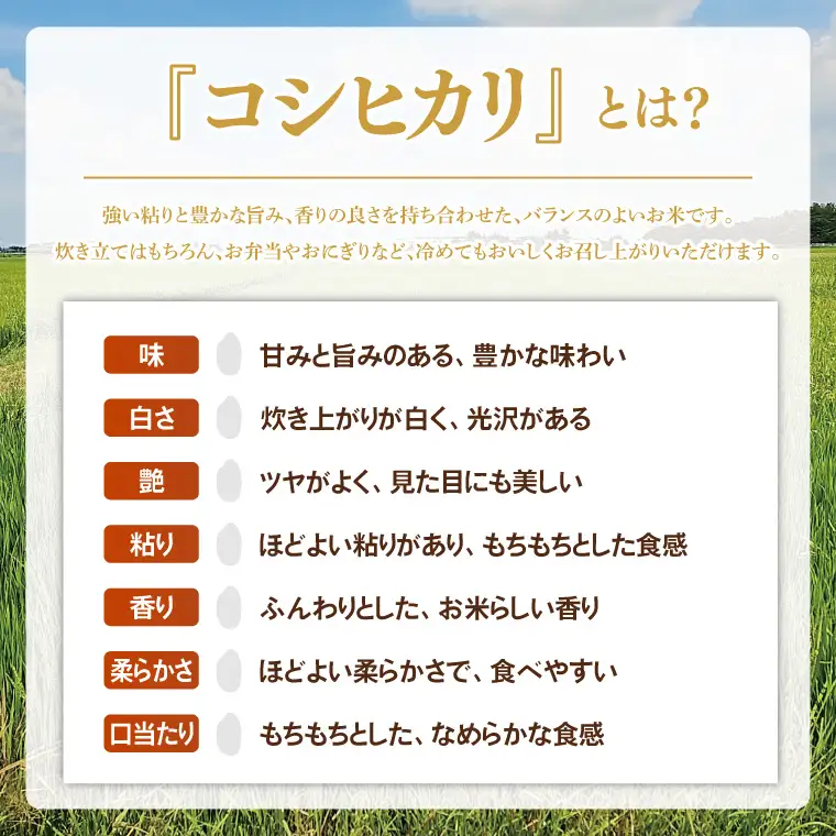 スマート農業技術を活用した 令和８年産 コシヒカリ（白米）　５キロ【埼玉県 春日部市 ふるさと納税 国産 精米 主食 家庭用 お取り寄せ 贈答用 ごはん】（BN047）